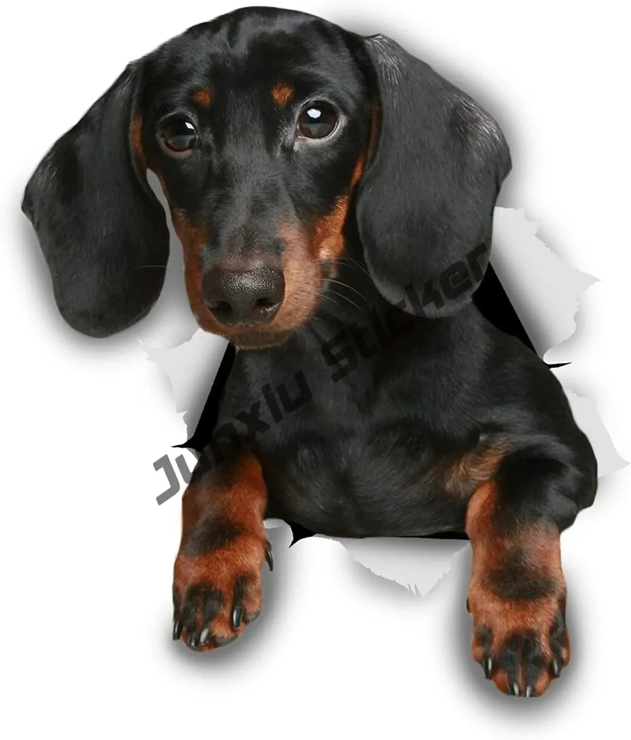 Sticker Aufkleber schwarzer Dackel