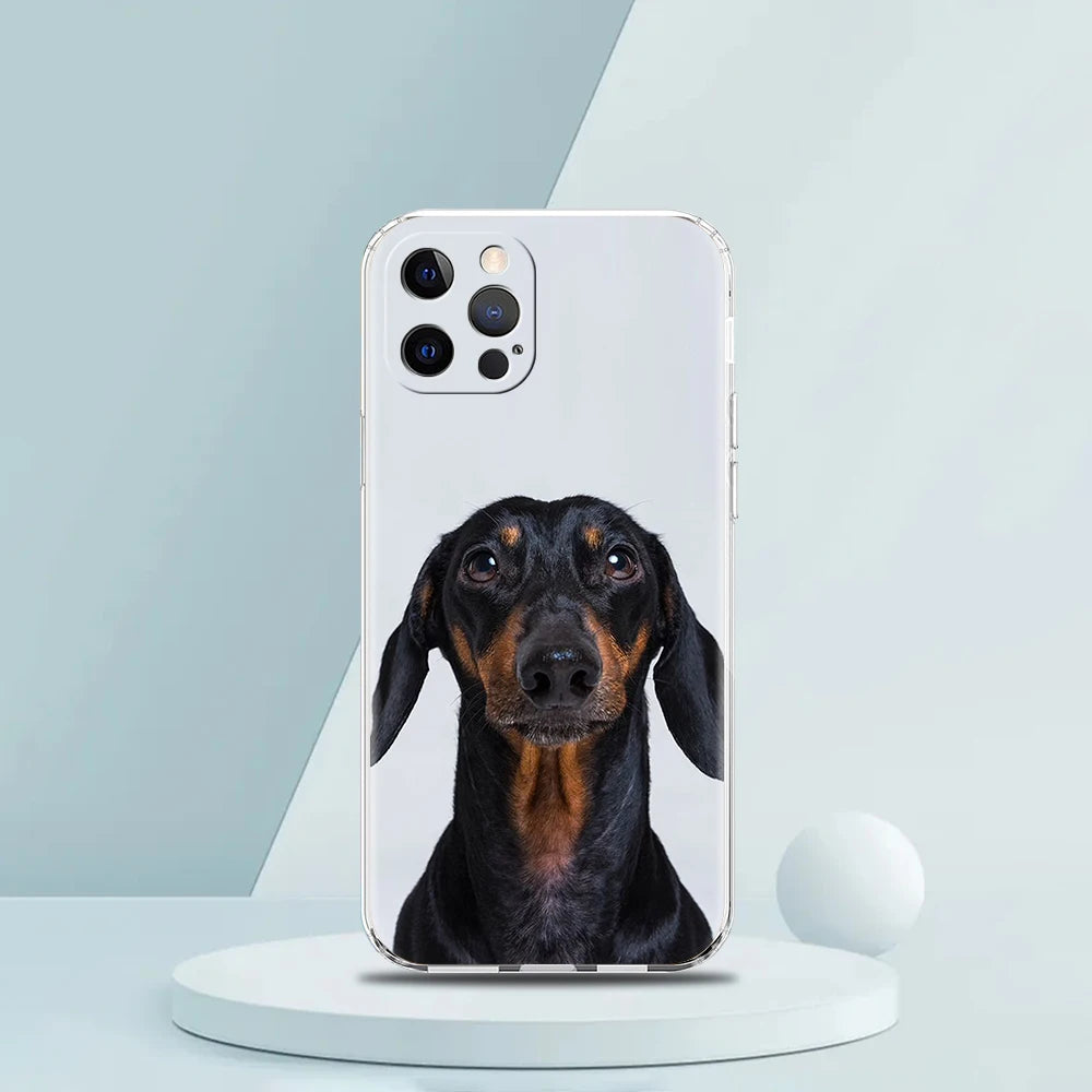 Smartphone Hülle für iPhone 11 - 15 aus Silikon mit Dackelmotiv Rückabdeckung