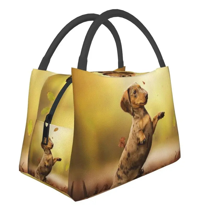 Thermotasche mit coolen Dackelmotiven