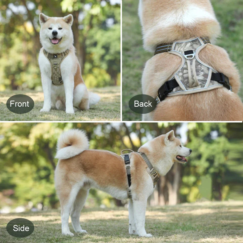 Hochwertiges Hundegeschirr in verschiedenen Größen und Designs