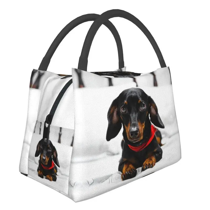 Thermotasche mit coolen Dackelmotiven