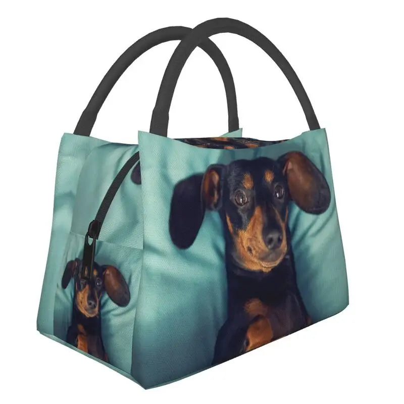 Thermotasche mit coolen Dackelmotiven