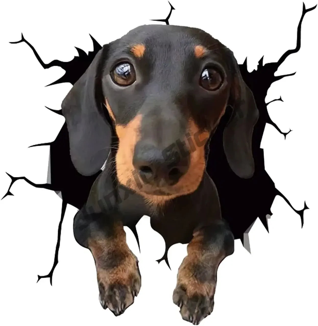 Aufkleber I love my dachshund