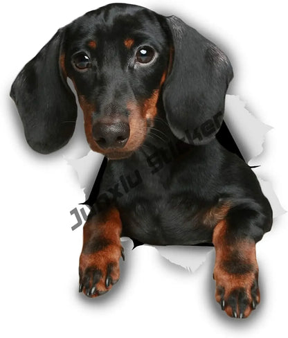 Sticker Aufkleber schwarzer Dackel