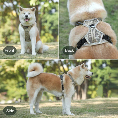 Hochwertiges Hundegeschirr in verschiedenen Größen und Designs